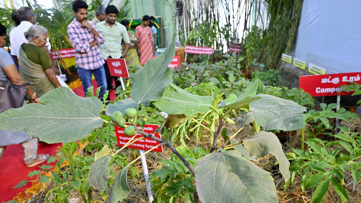 South India Natural Farming Summit: stakeholders submit blueprint to Prime Minister