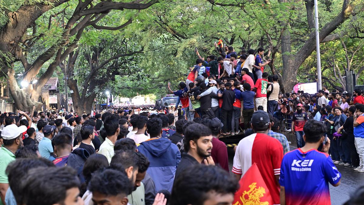 Stampede and deaths: Who is accountable?