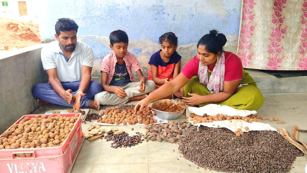 Nature lover makes 9,000 seed balls to turn Rajanna Sircilla green