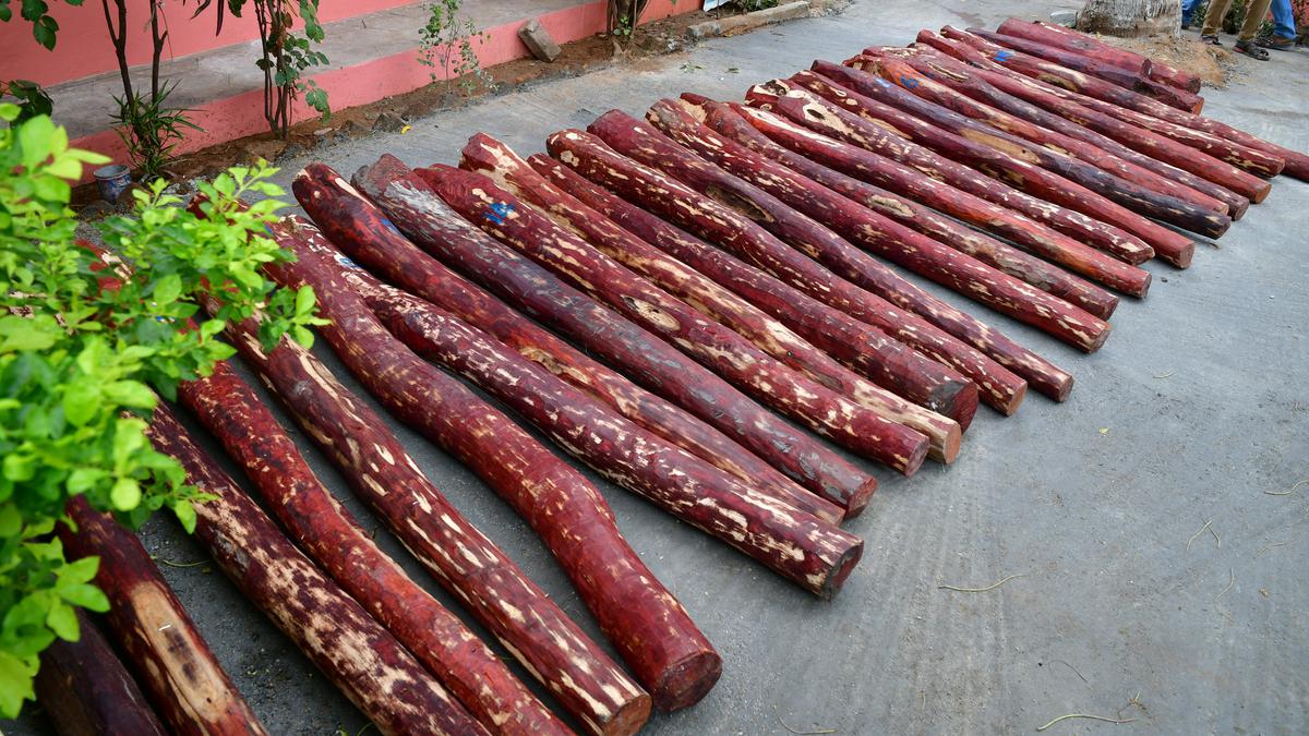 CITES records 28 incidents of Red Sanders confiscation exported from India