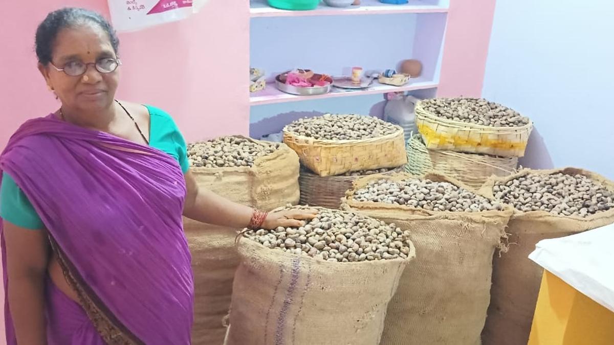 Andhra Pradesh: cashew farmers gear up for massive protest in Palasa on July 18