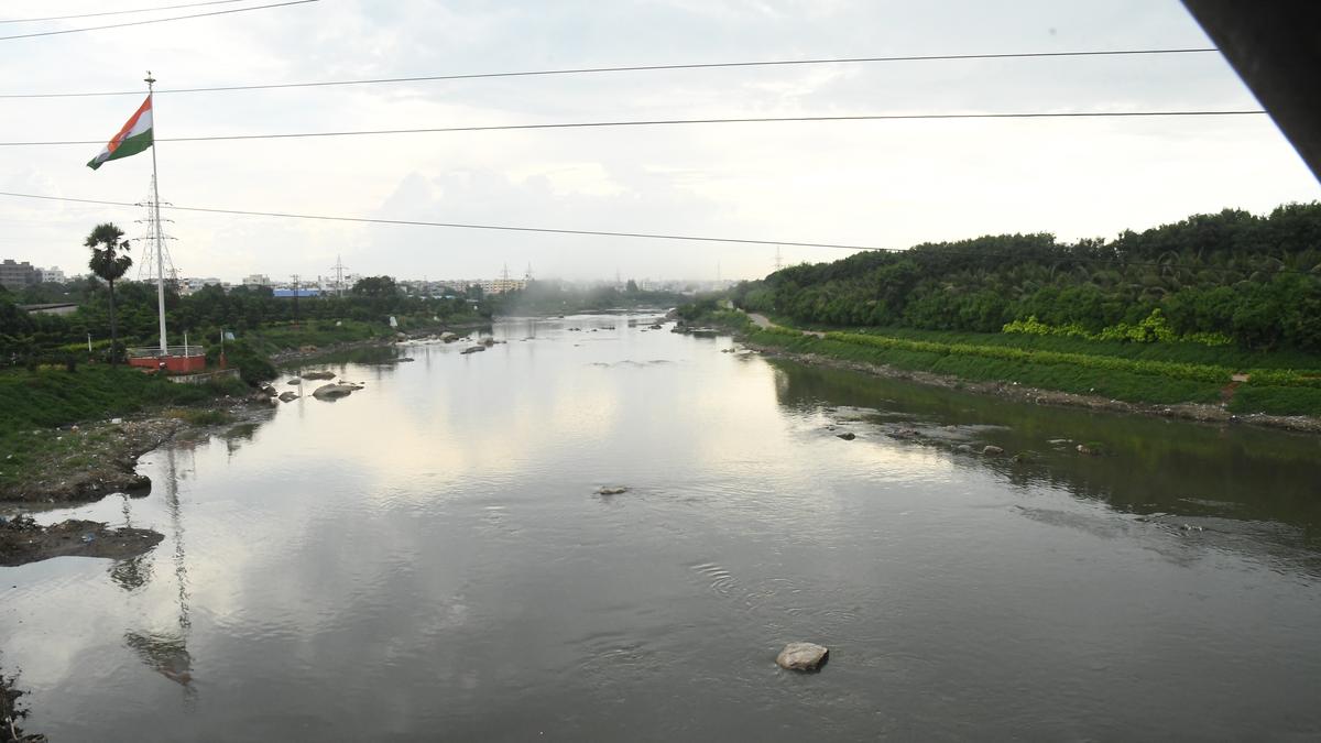 29 new bridges proposed on Musi river in Hyderabad