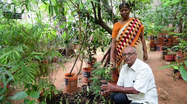 Tiruchi couple on a mission to revive cultivation of rare and indigenous trees in Tamil Nadu