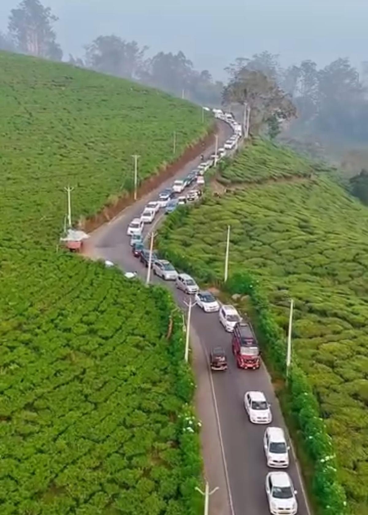 thehindu.com - Sandeep Vellaram - Freezing Munnar becomes magnet for Christmas-New Year tourists