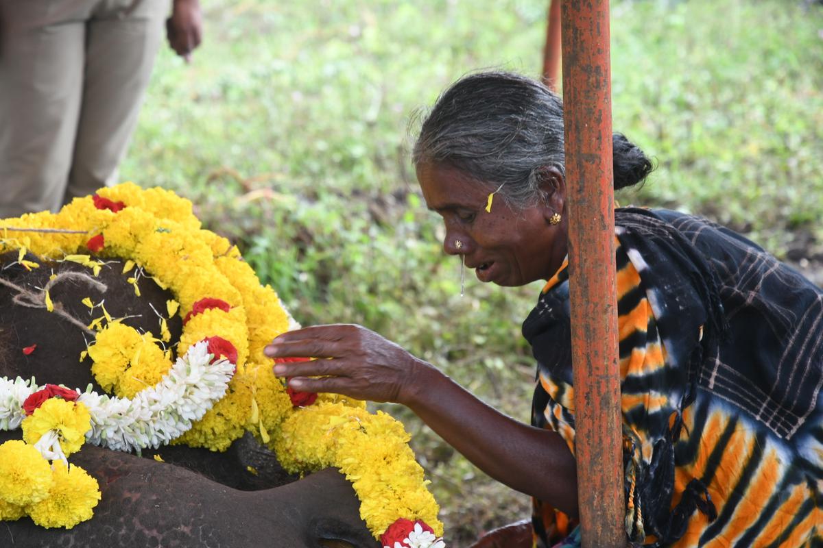 Family members of mahout Kirumaaran paying their tributes to Murthy at Theppakadu elephant camp in Mudumalai tiger reserve