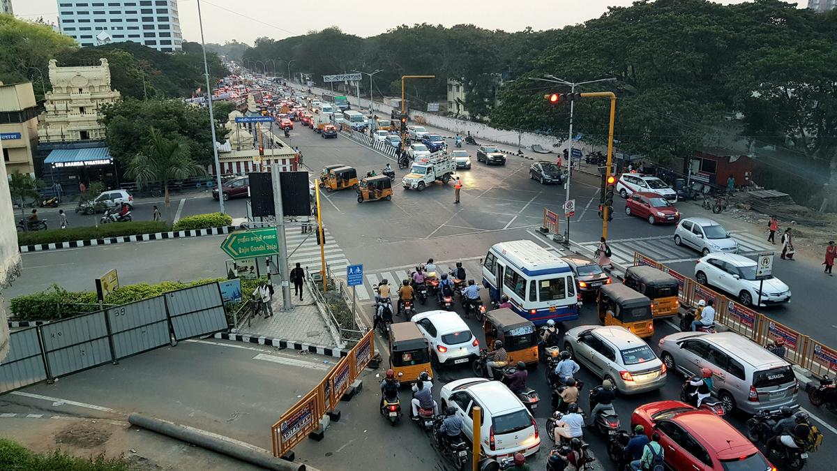 Highways Department transplants 75 trees from Sardar Patel Salai to build flyover