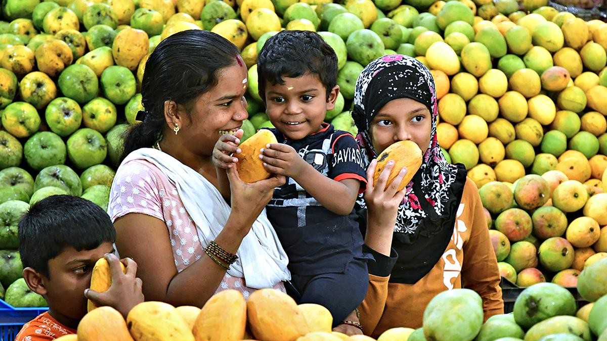 Three-week Mango Mela in Lalbagh in Bengaluru from May 23 
