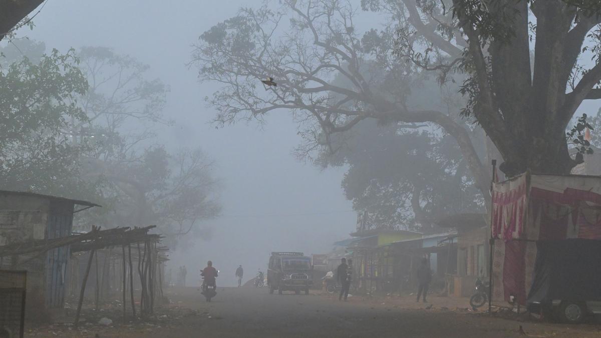 Agency areas of ASR district in Andhra Pradesh shiver as mercury dips, fog reduces visibility