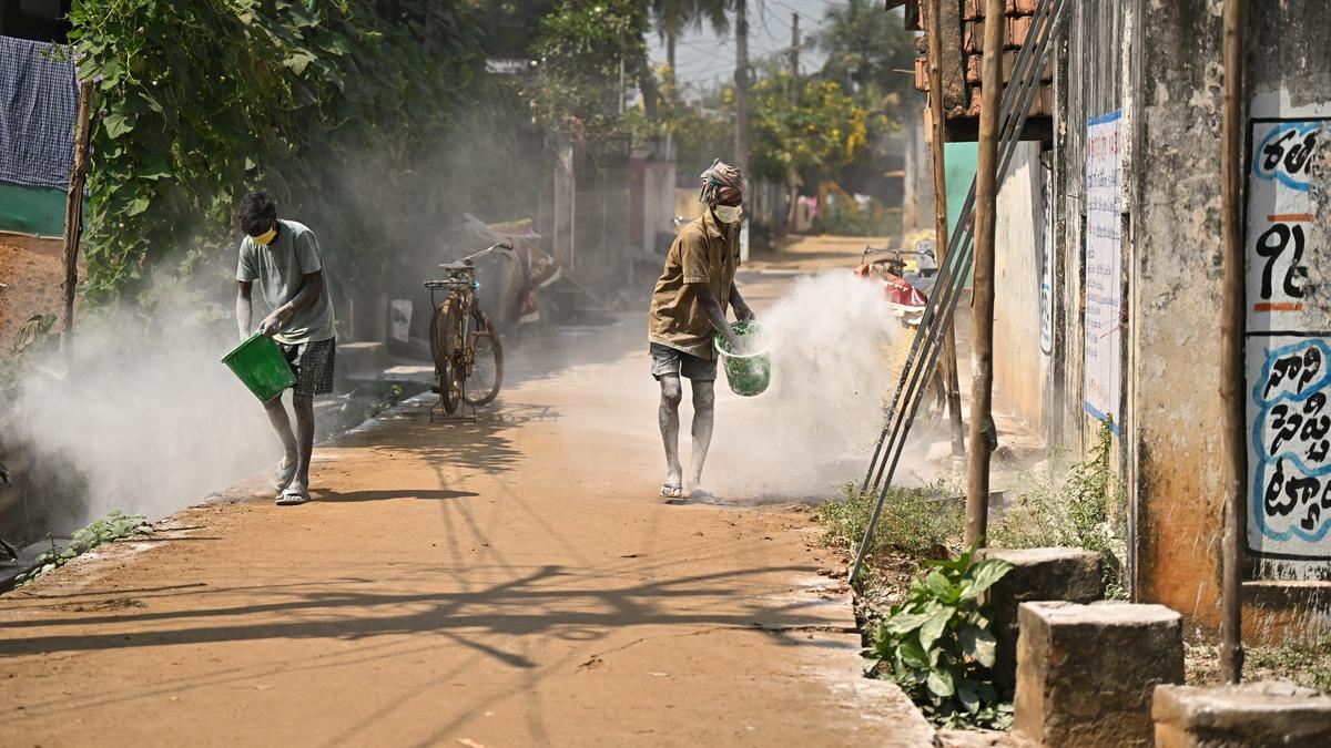 Bird flu outbreak in Andhra Pradesh: Burden of bird blight
Premium