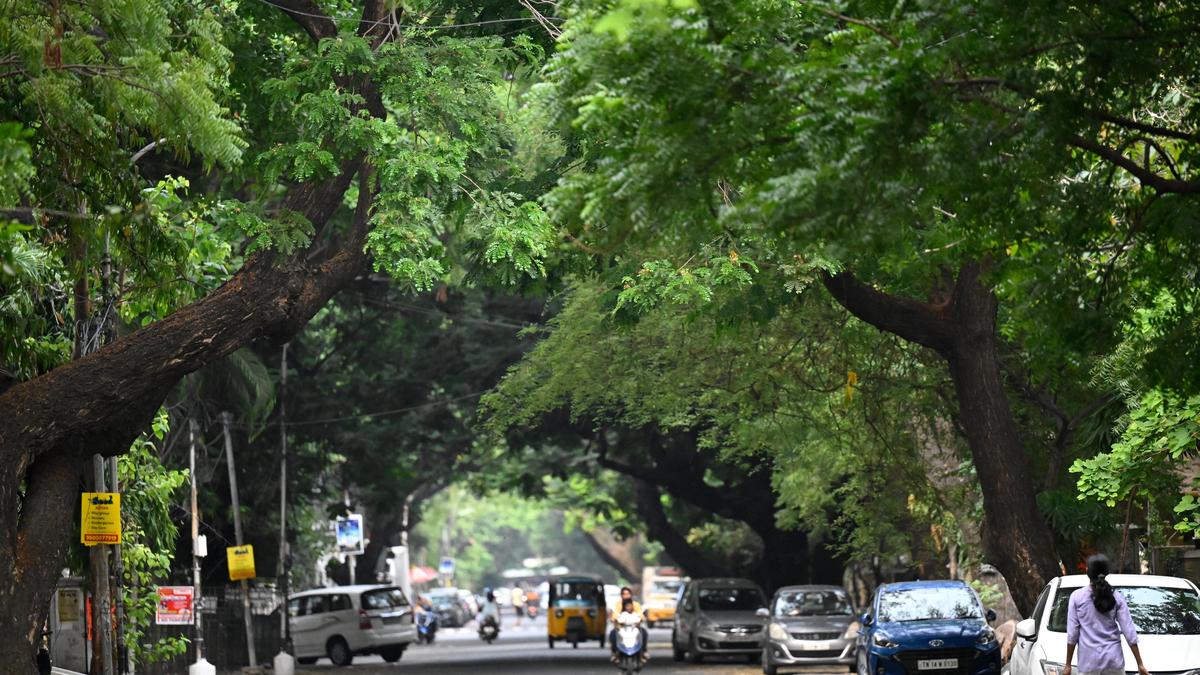 T.N. Forest Dept. to conduct tree census and green space survey in six major cities