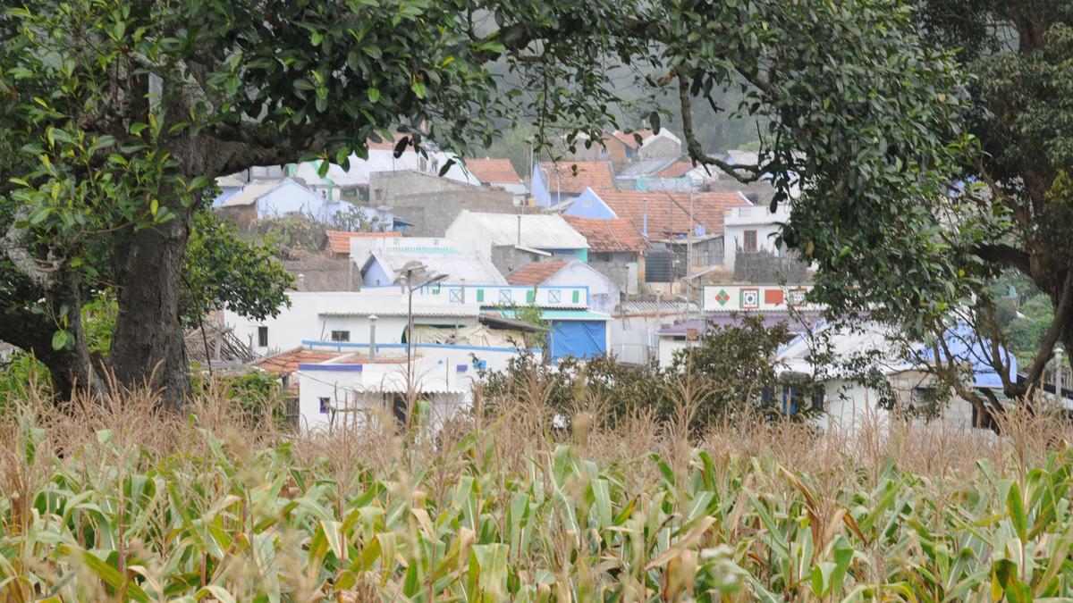 Tribal association demands withdrawal of NTCA order seeking relocation of families in tiger reserves