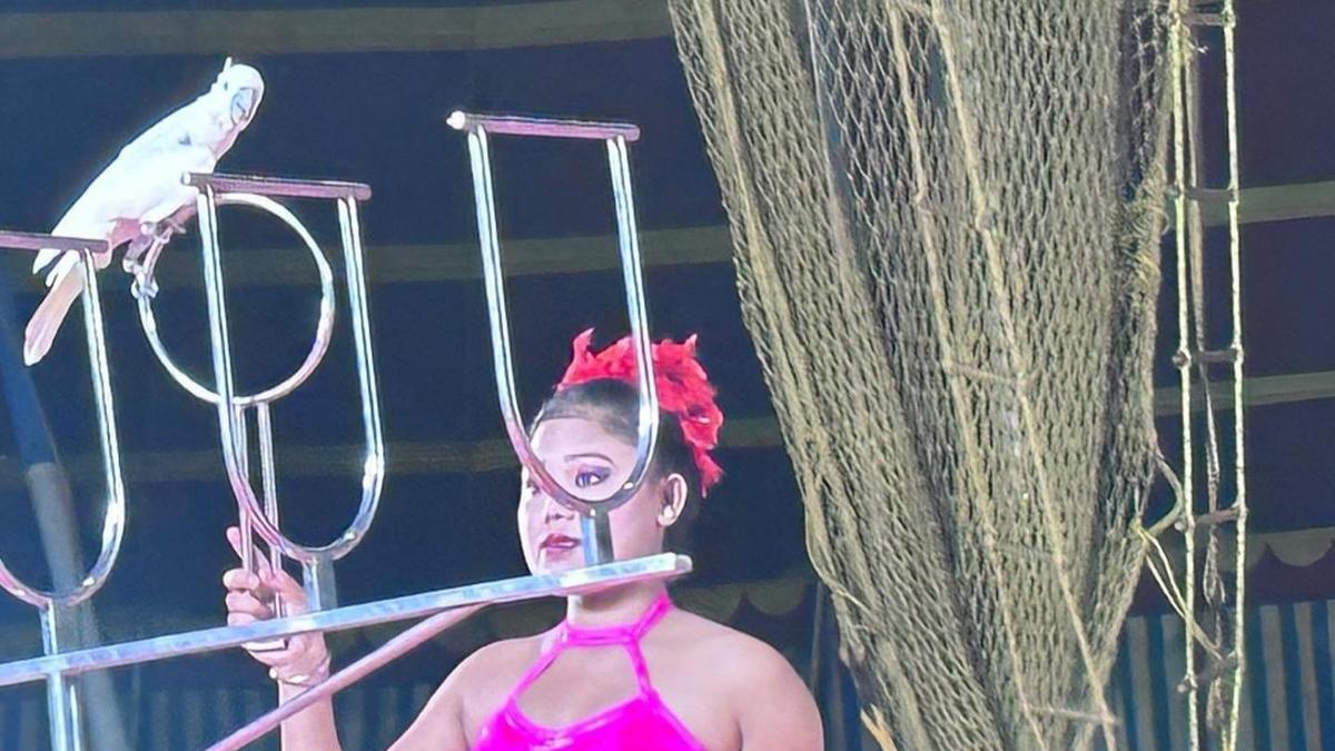 Coimbatore police register case against Great Bombay Circus for animal cruelty