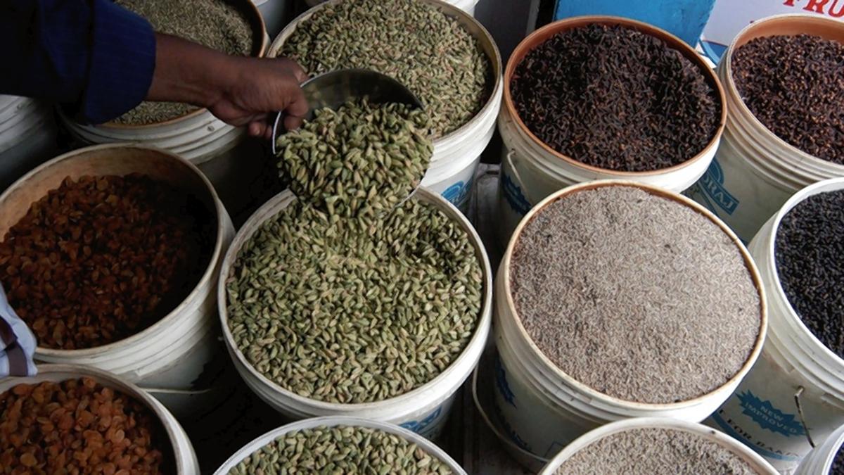 India’s share in global seasoning market a paltry 0.7% despite being world’s largest producer: WSO