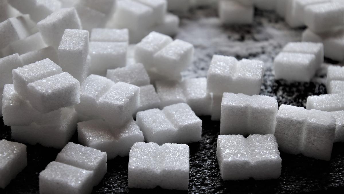 Explained | What is the dispute about sugar subsidies at WTO?