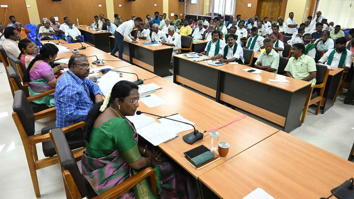 Farmers’ plea to survey damaged paddy crop fields in Madurai district