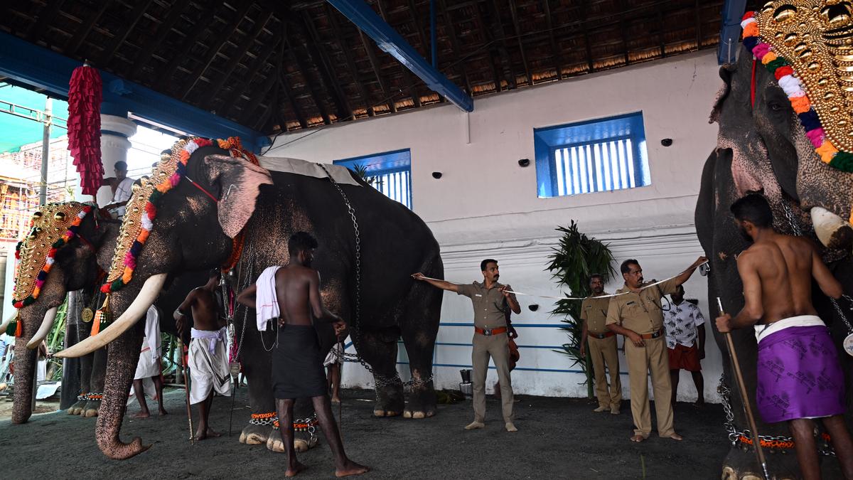 Elephant parade at Poornathrayeesa Temple adheres to distance norms prescribed by Kerala High Court