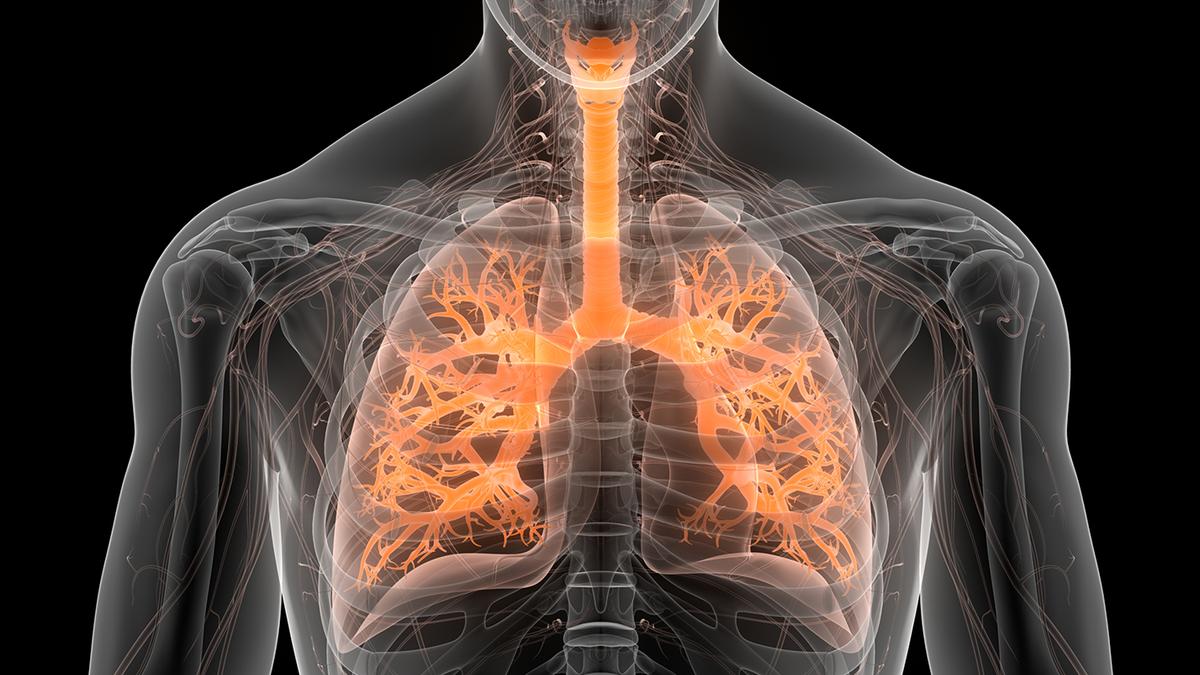 World lung day : understanding common respiratory diseases and their effective management