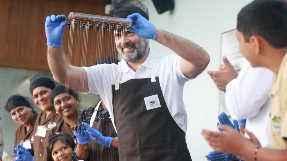 Creating industrial hubs, implementing single GST rate imperative for shielding MSMEs: Rahul