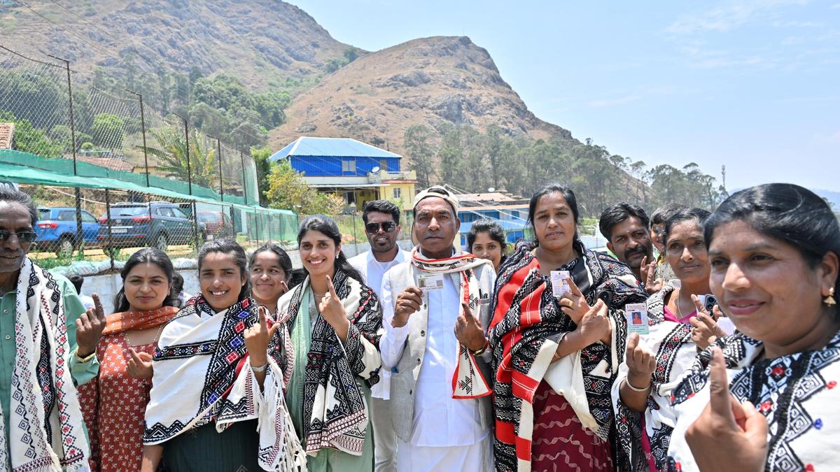 High voter turnout in The Nilgiris