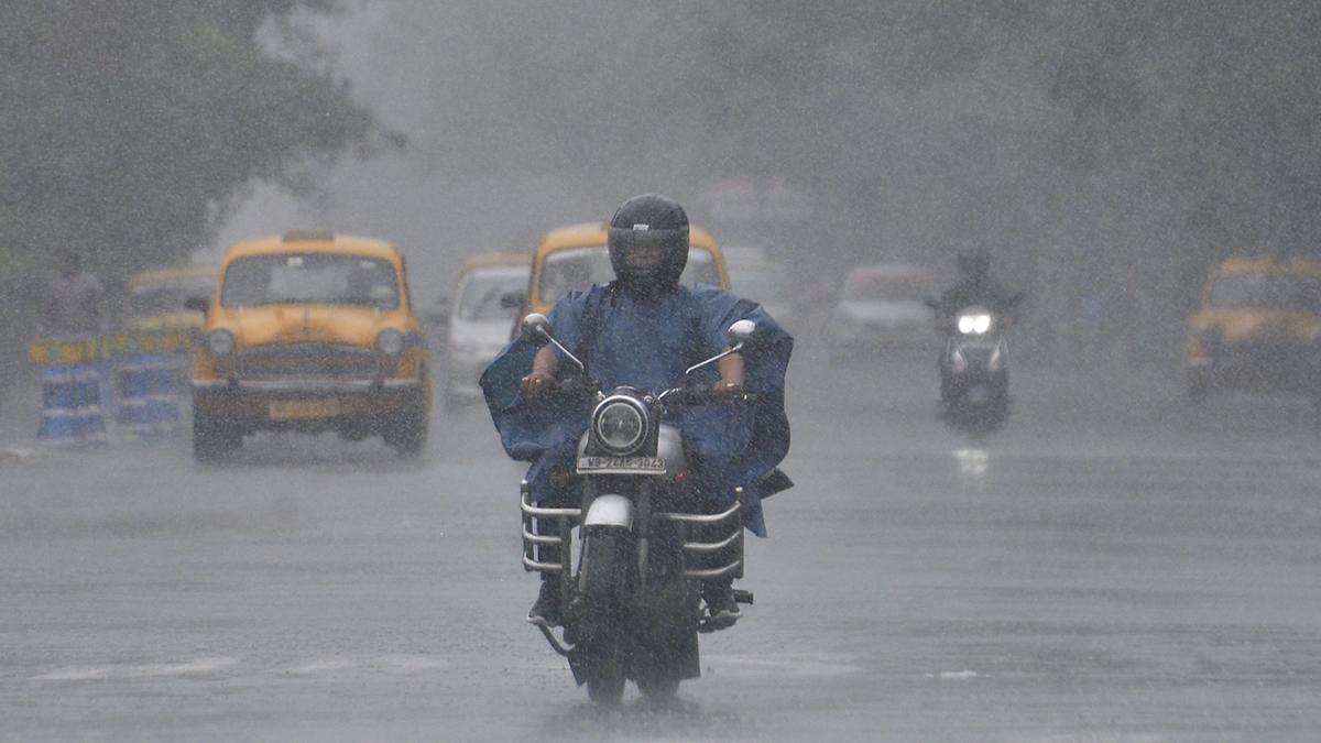 Cyclone Remal LIVE Updates | Authorities engaged in clearing uprooted trees in Kolkata amid heavy rains, gusty winds