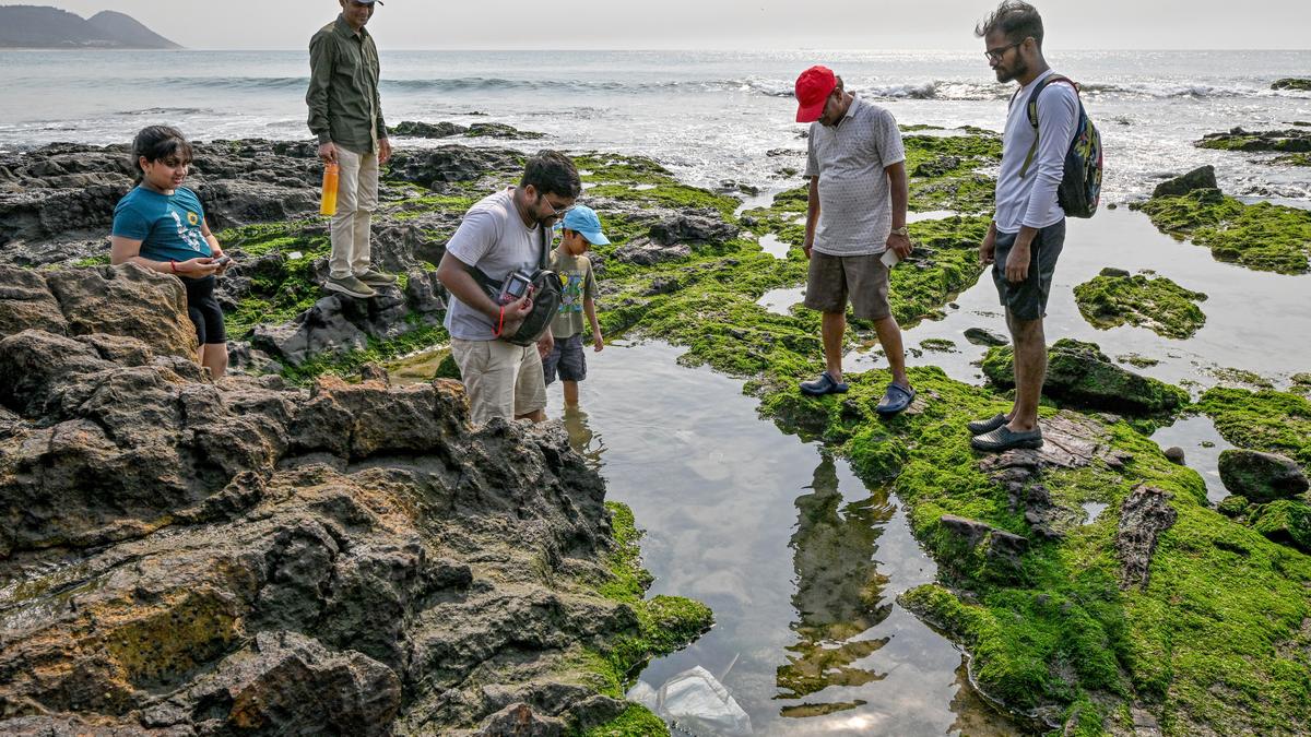 City Nature Challenge 2026: Andhra, Telangana record surge