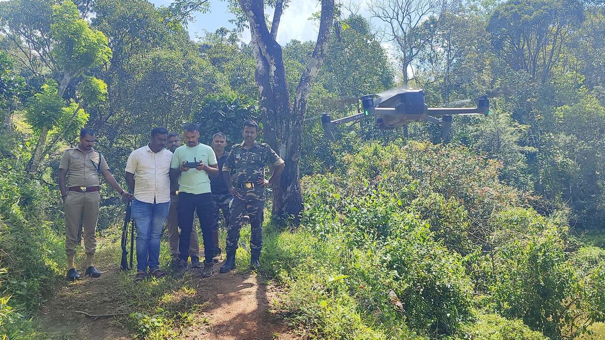 Forest dept. to install solar fencing in PTR border to keep off wild animals