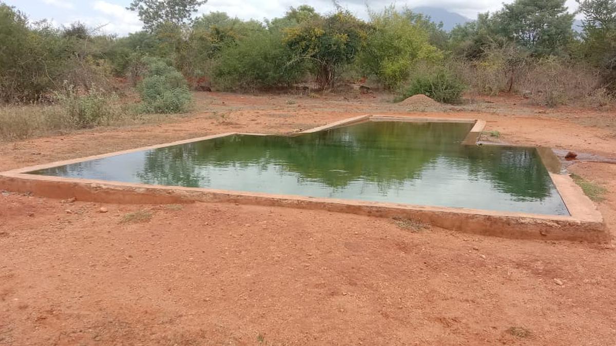 Forest Department keeps troughs filled with water in Coimbatore Forest Division