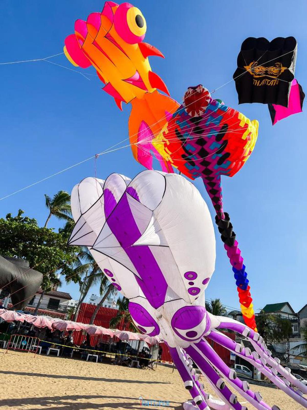 Kites from across countries will arrive for the festival