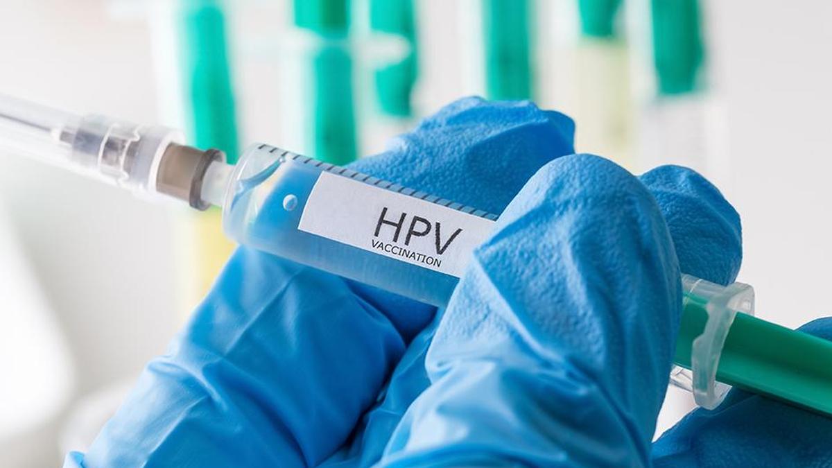 T.N. to launch HPV vaccination programme in four districts with high incidence of cervical cancer