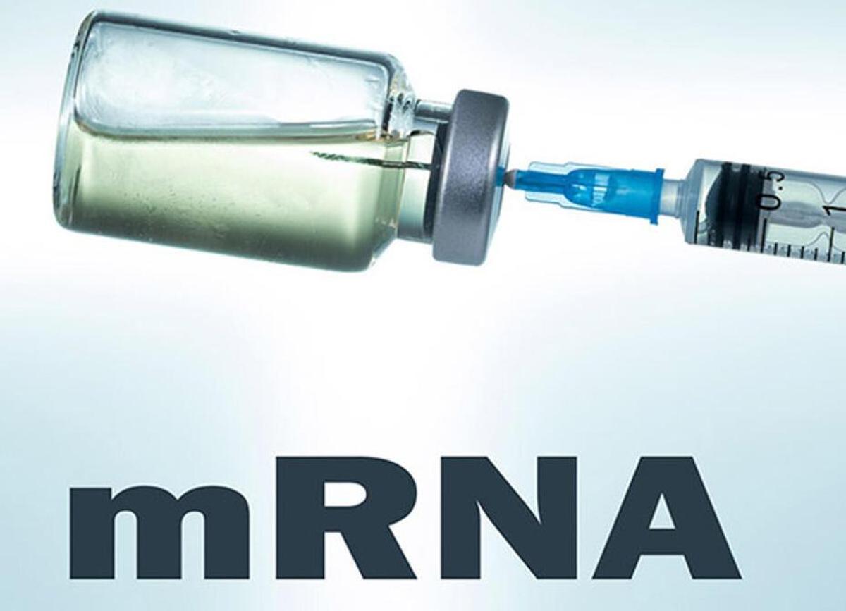 thehindu.com - Dannell D. Boatman - Cancer vaccines could transform treatment and prevention - but misinformation about mRNA vaccines threatens their potential