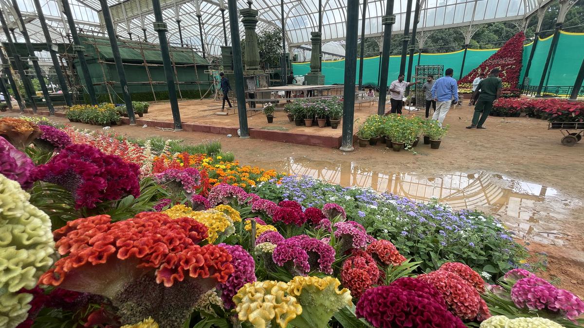 Lalbagh flower show to be litter-free this year