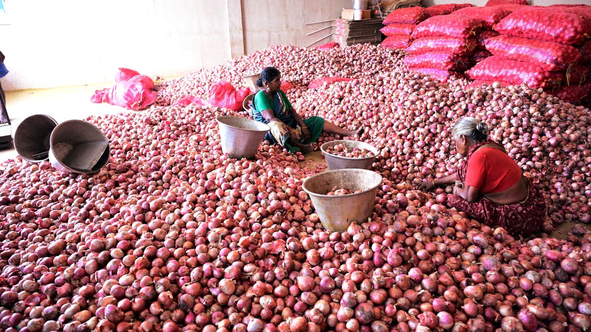 Onion glut triggers price crash in Dindigul wholesale market