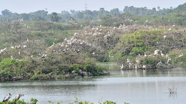 Six more wetlands in T.N. get Ramsar recognition