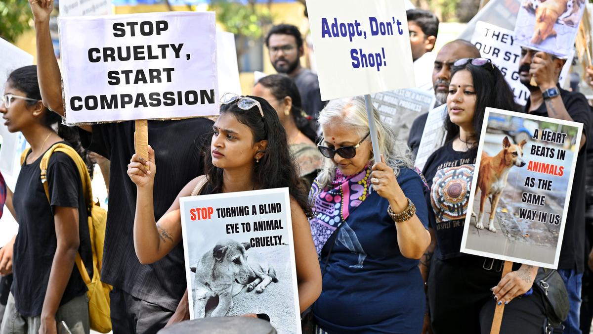 Coimbatore rally calls for increased stray dog sterilization efforts