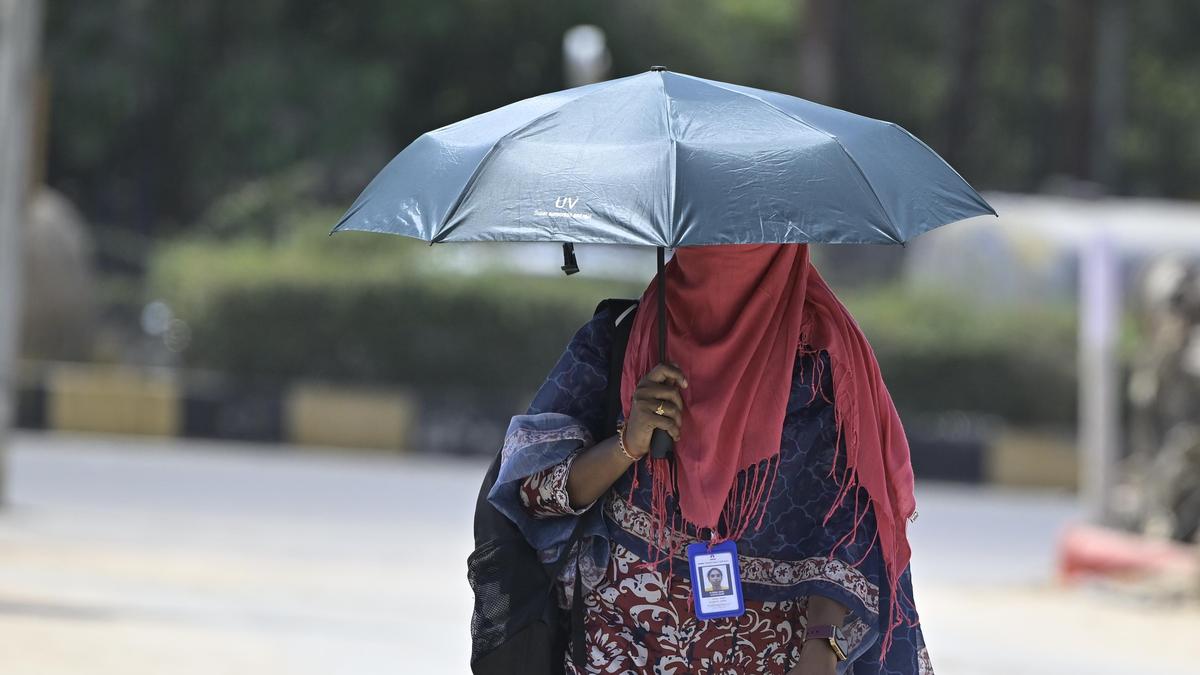 Telangana health department warns of heatstroke symptoms as temperatures set to rise further