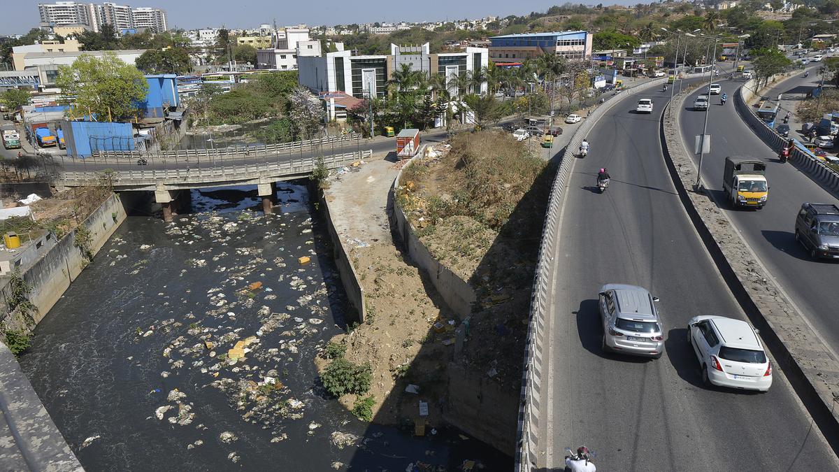 Bengaluru, the parched IT capital of India
Premium