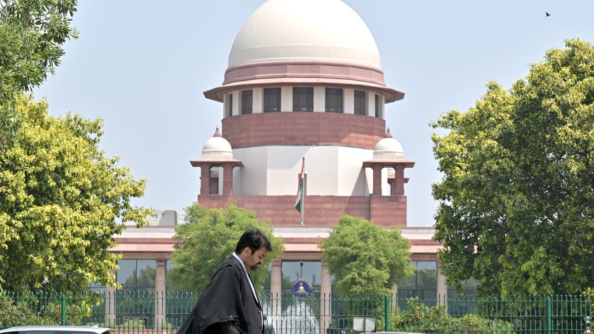 Easy for States to get ration from Centre and distribute it for free, but burden is on taxpayers: SC