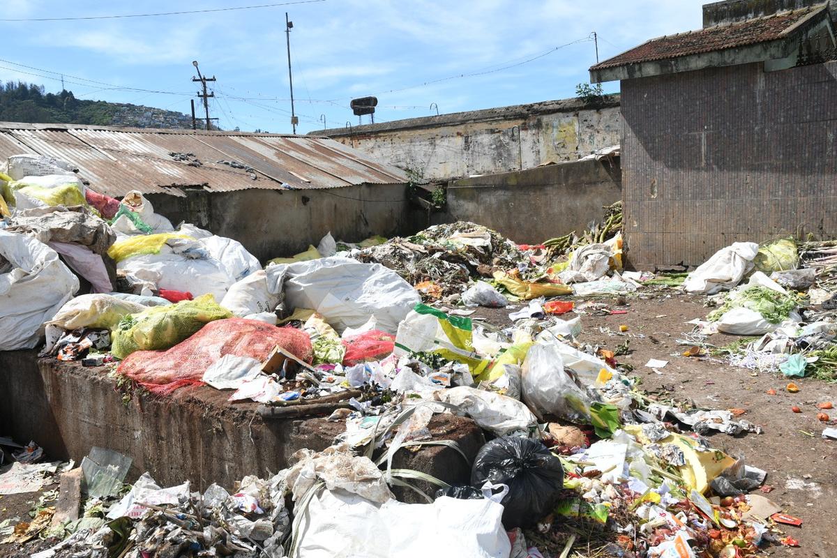 Increase in tourist numbers puts strain on waste management in the Nilgiris