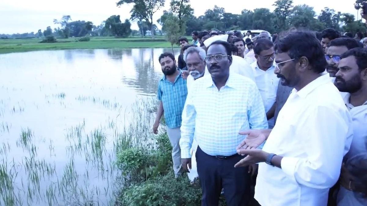 Crops damaged due to rains and floods in Vizianagaram district in Andhra Pradesh