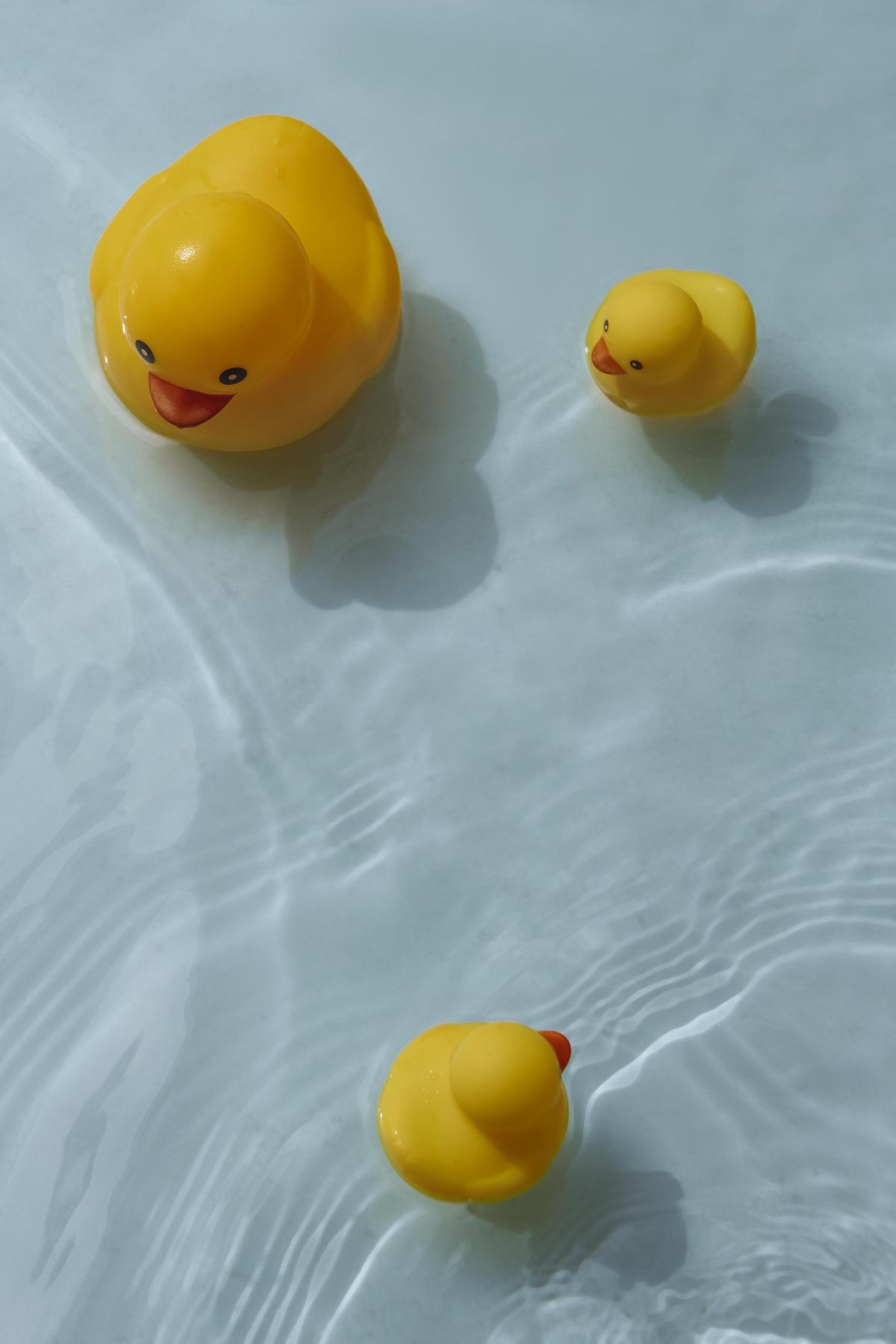 Rubber ducks floating on water.