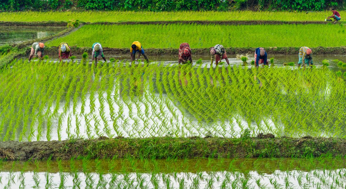 thehindu.com - The Hindu Bureau - Samyukt Kisan Morcha warns against natural farming, asks Centre to ensure adequate fertilisers