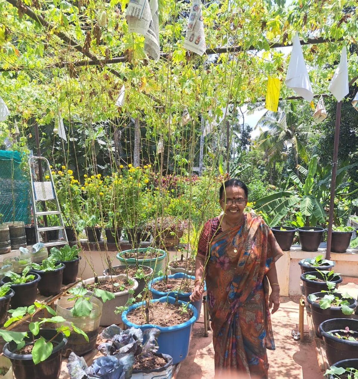 Vijaya Bhaskar at her terrace farm at Aruvikkara in Thiruvananthapuram