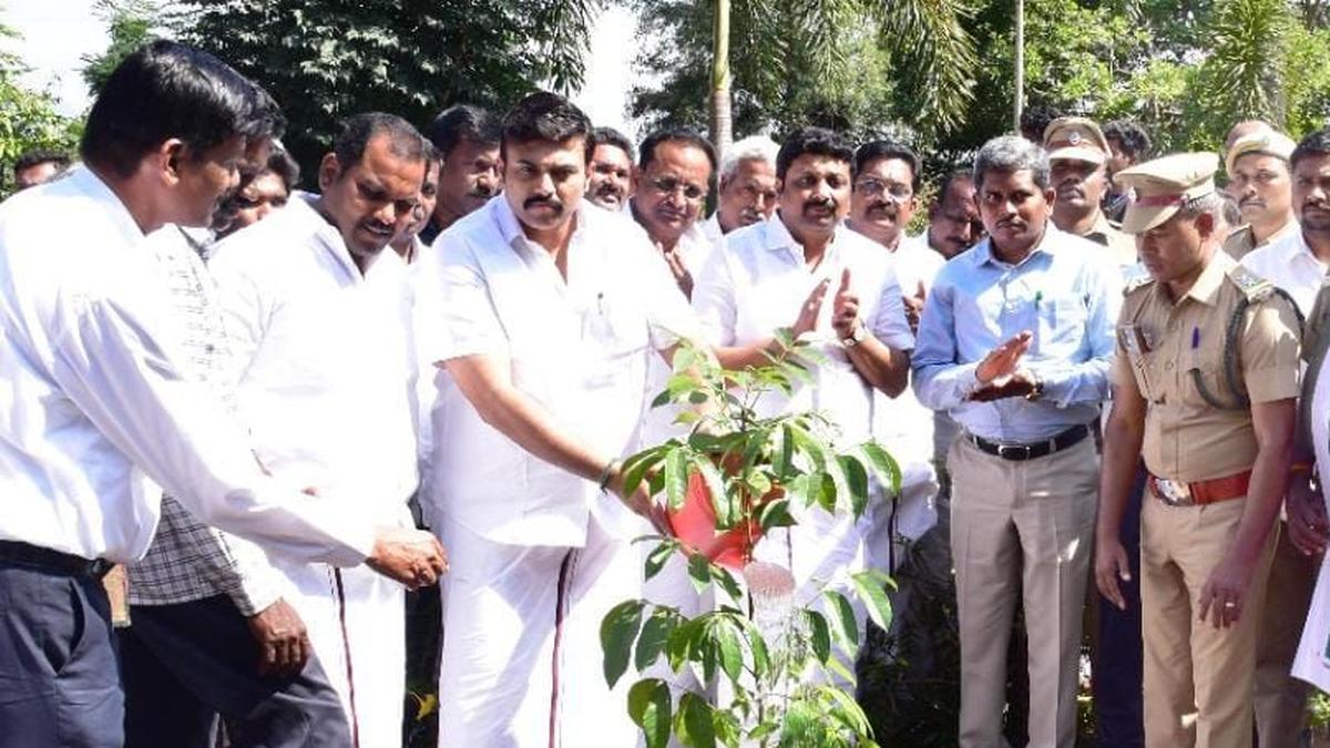 Goal is to increase forest cover in T.N. to 33%, says Minister