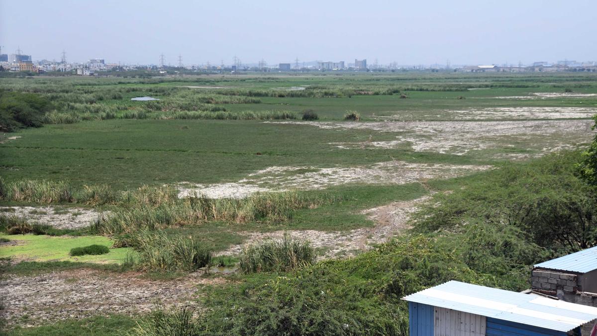 Bathymetric study underway in Pallikaranai marsh to improve ecological functions