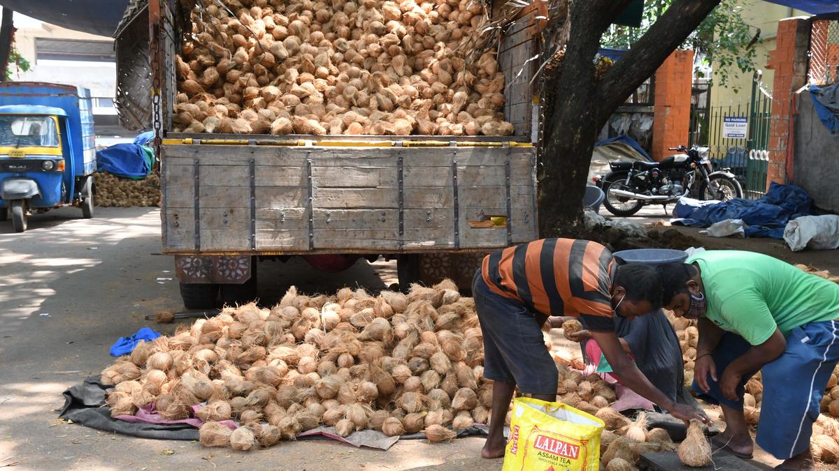 Summer drives up coconut prices in Bengaluru to ₹50 apiece