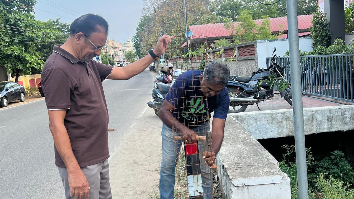 By planting trees on Tuesdays, ‘Ainthinai’ on way to increase Palayamkottai’s green cover