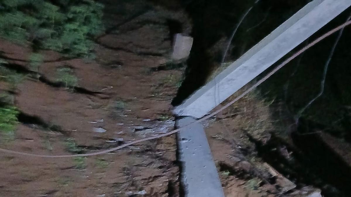 Wild elephant breaks electric pole near Coimbatore, damages crops