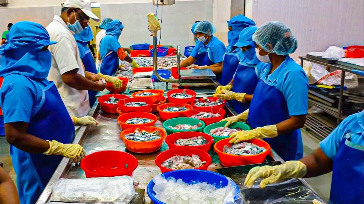 Mega food park near Cherthala to be opened on April 11