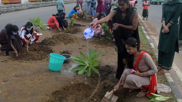 NHAI begins planting saplings along Chennai Bypass