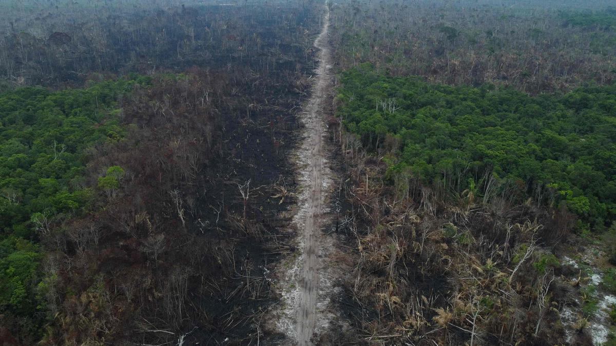 Brazilian Amazon deforestation breaks September record